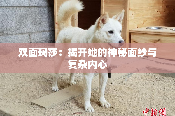 双面玛莎：揭开她的神秘面纱与复杂内心