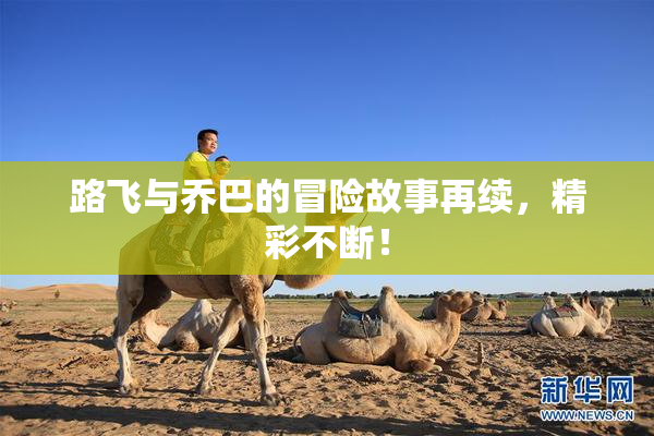 路飞与乔巴的冒险故事再续，精彩不断！