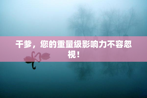干爹，您的重量级影响力不容忽视！