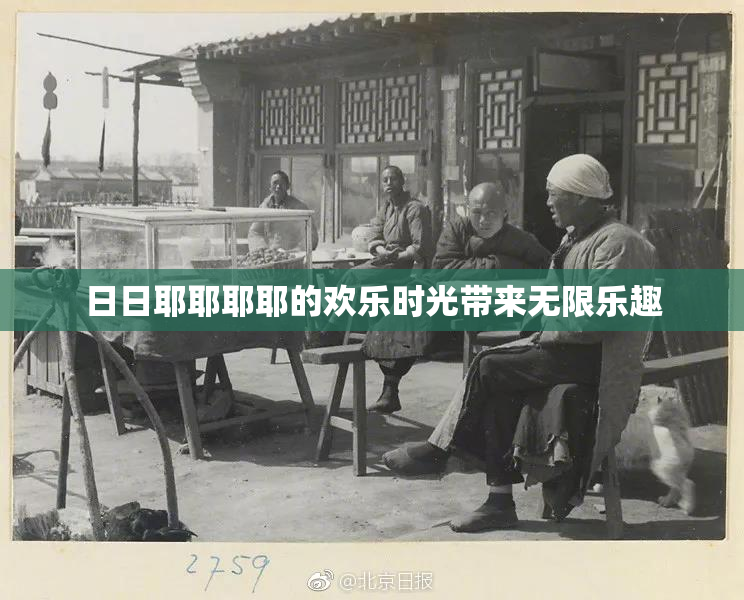 日日耶耶耶耶的欢乐时光带来无限乐趣