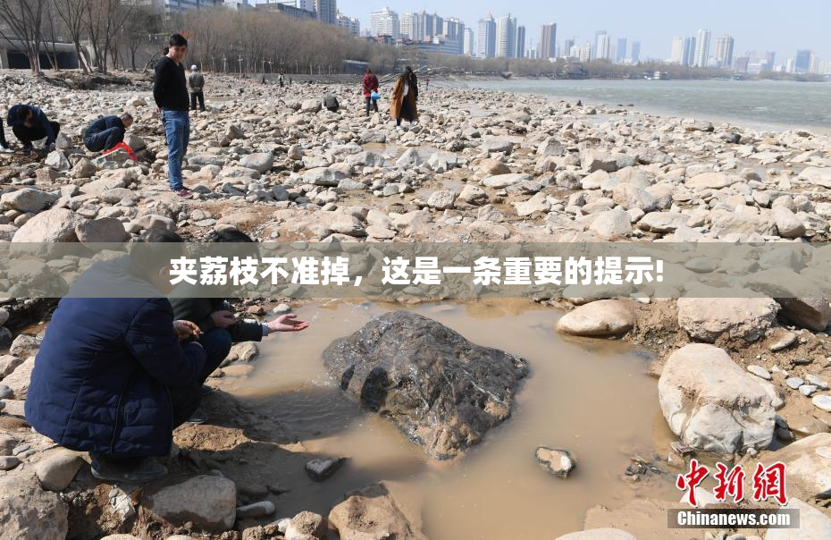 夹荔枝不准掉，这是一条重要的提示!
