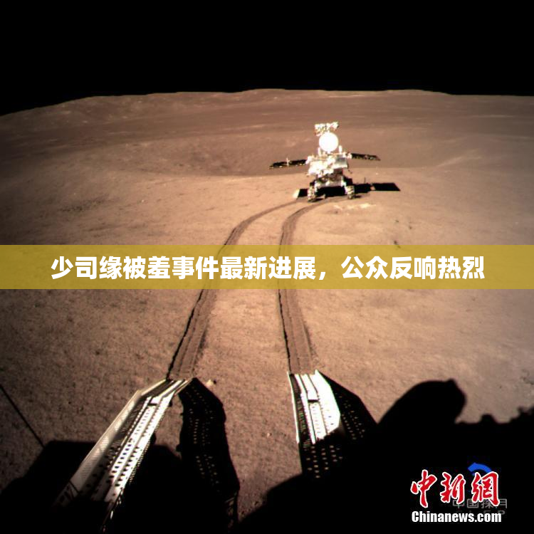少司缘被羞事件最新进展，公众反响热烈