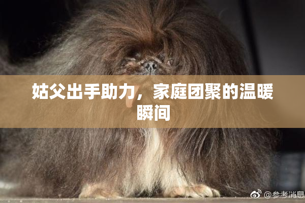 姑父出手助力，家庭团聚的温暖瞬间