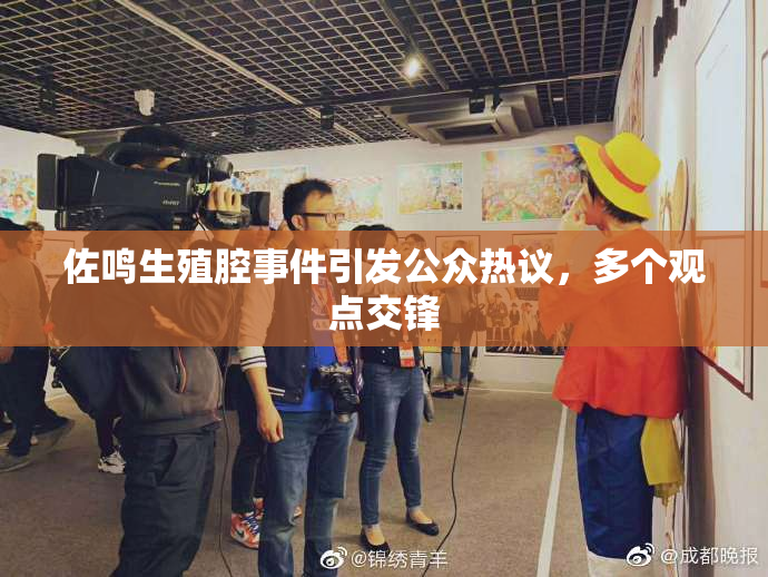 佐鸣生殖腔事件引发公众热议，多个观点交锋
