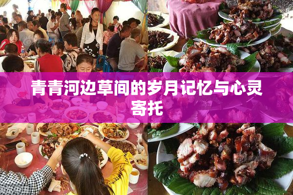 青青河边草间的岁月记忆与心灵寄托