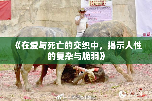 《在爱与死亡的交织中，揭示人性的复杂与脆弱》