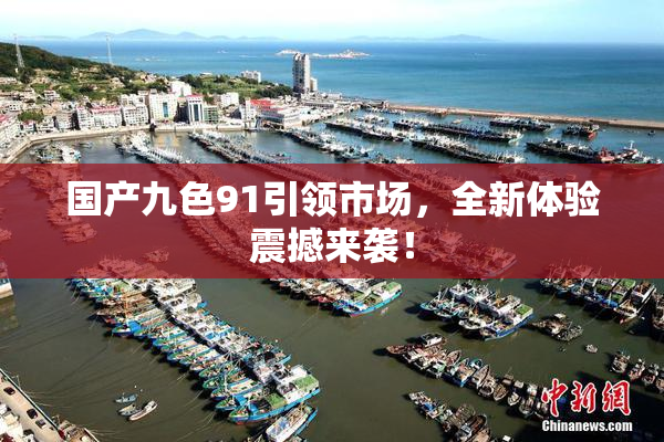 国产九色91引领市场，全新体验震撼来袭！