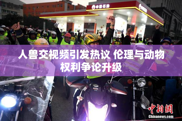 人兽交视频引发热议 伦理与动物权利争论升级