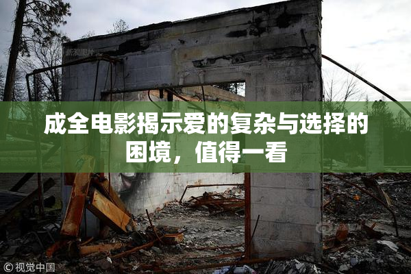 成全电影揭示爱的复杂与选择的困境，值得一看