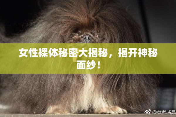 女性裸体秘密大揭秘，揭开神秘面纱！