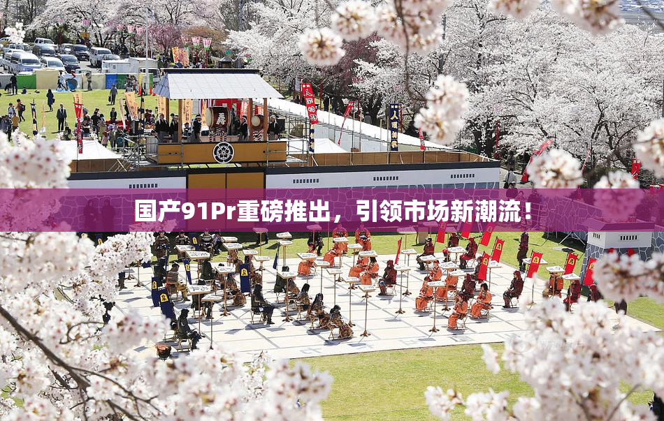 国产91Pr重磅推出，引领市场新潮流！