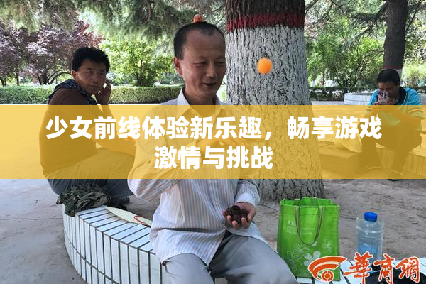少女前线体验新乐趣，畅享游戏激情与挑战