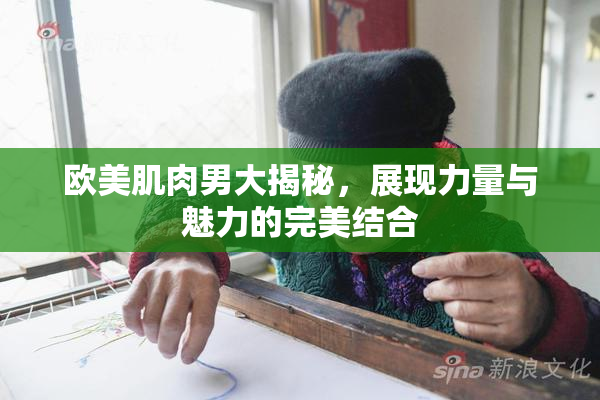 欧美肌肉男大揭秘，展现力量与魅力的完美结合