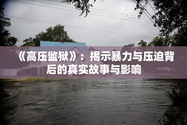 《高压监狱》：揭示暴力与压迫背后的真实故事与影响