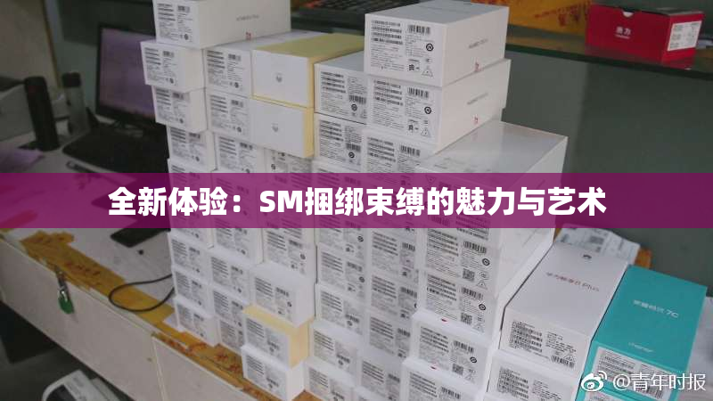 全新体验：SM捆绑束缚的魅力与艺术