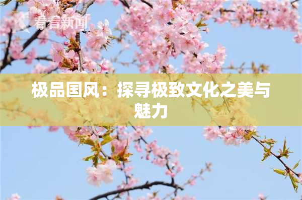 极品国风：探寻极致文化之美与魅力