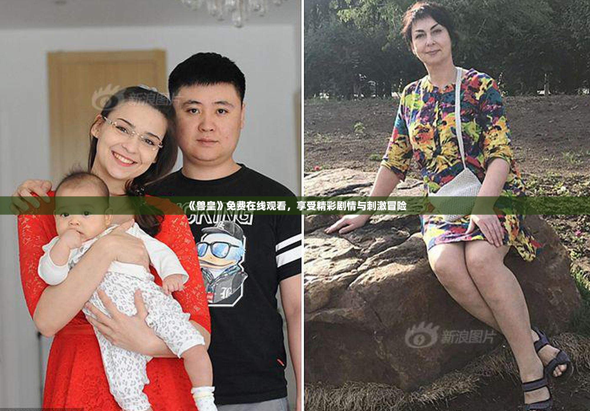 《兽皇》免费在线观看，享受精彩剧情与刺激冒险
