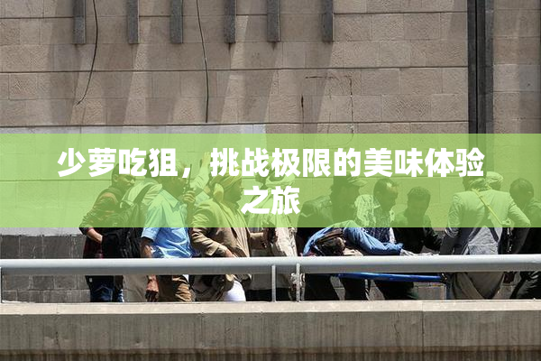 少萝吃狙，挑战极限的美味体验之旅