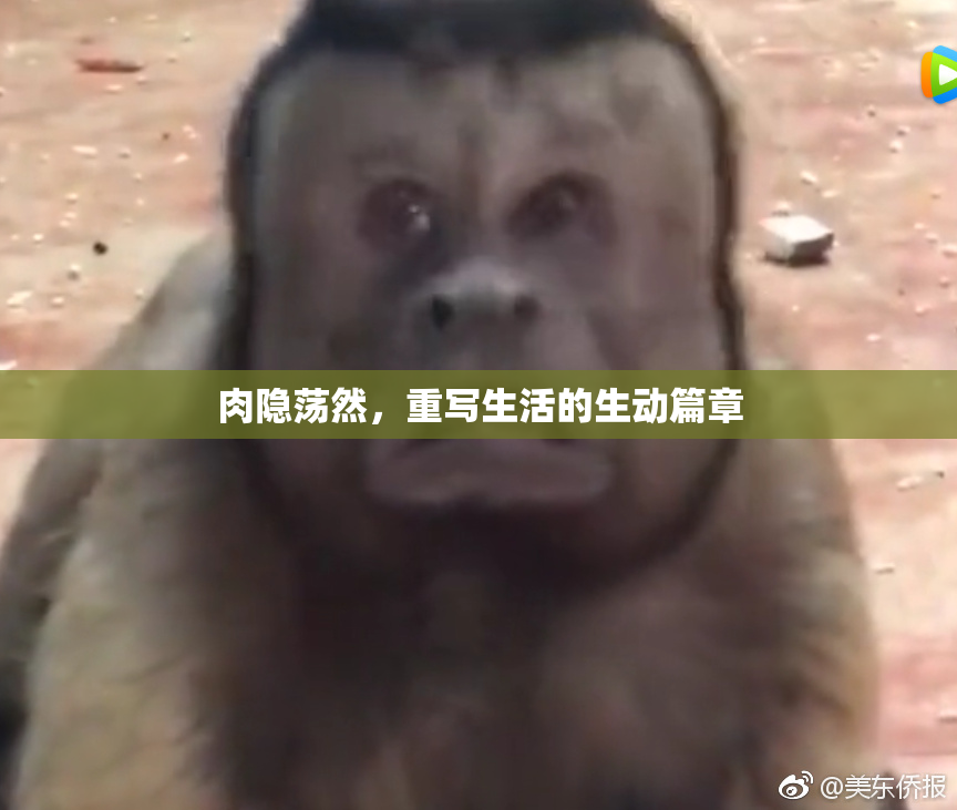 肉隐荡然，重写生活的生动篇章