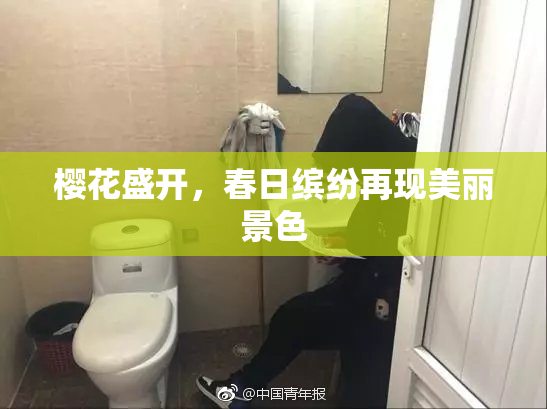 樱花盛开，春日缤纷再现美丽景色