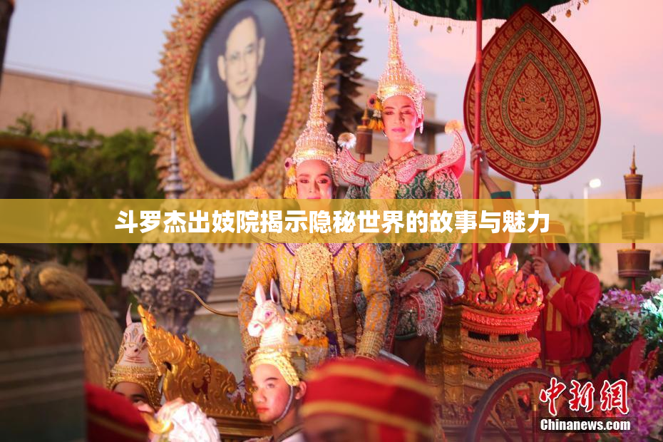 斗罗杰出妓院揭示隐秘世界的故事与魅力