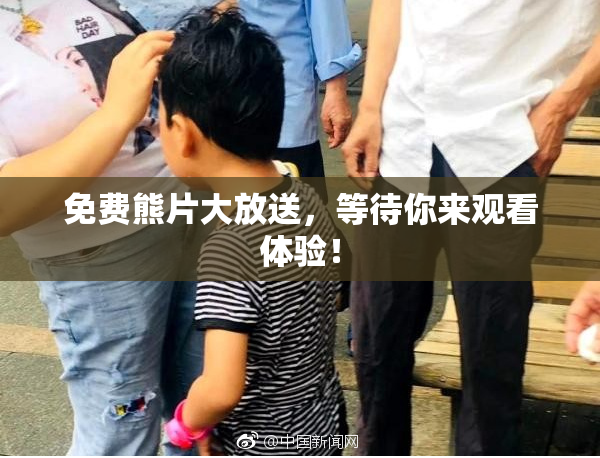 免费熊片大放送，等待你来观看体验！