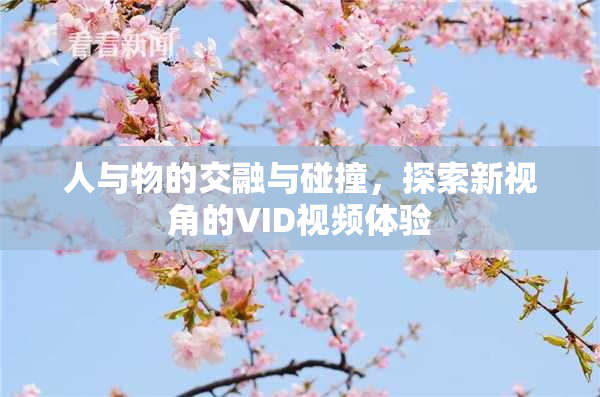 人与物的交融与碰撞，探索新视角的VID视频体验