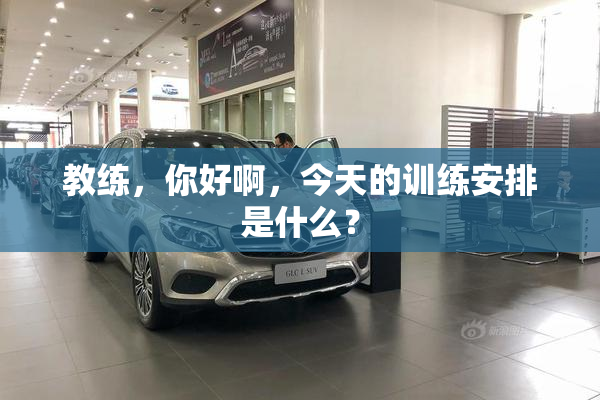 教练，你好啊，今天的训练安排是什么？