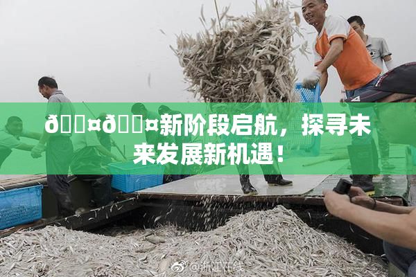 🐤🐤新阶段启航，探寻未来发展新机遇！