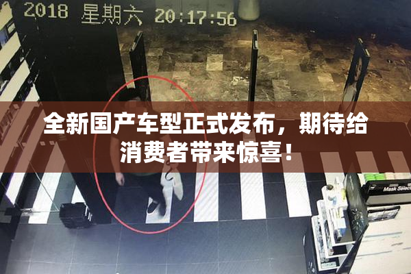 全新国产车型正式发布，期待给消费者带来惊喜！