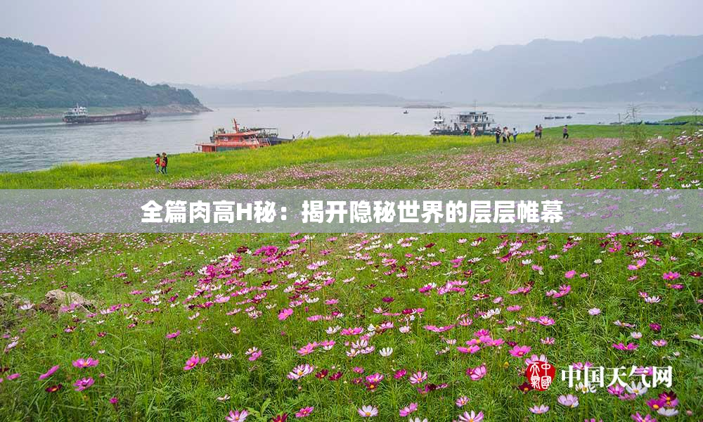 全篇肉高H秘：揭开隐秘世界的层层帷幕