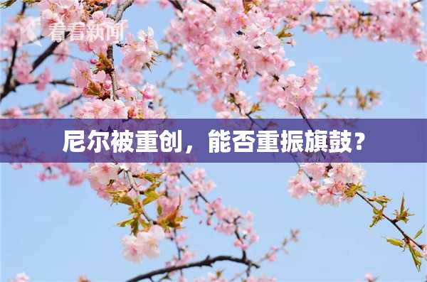 尼尔被重创，能否重振旗鼓？