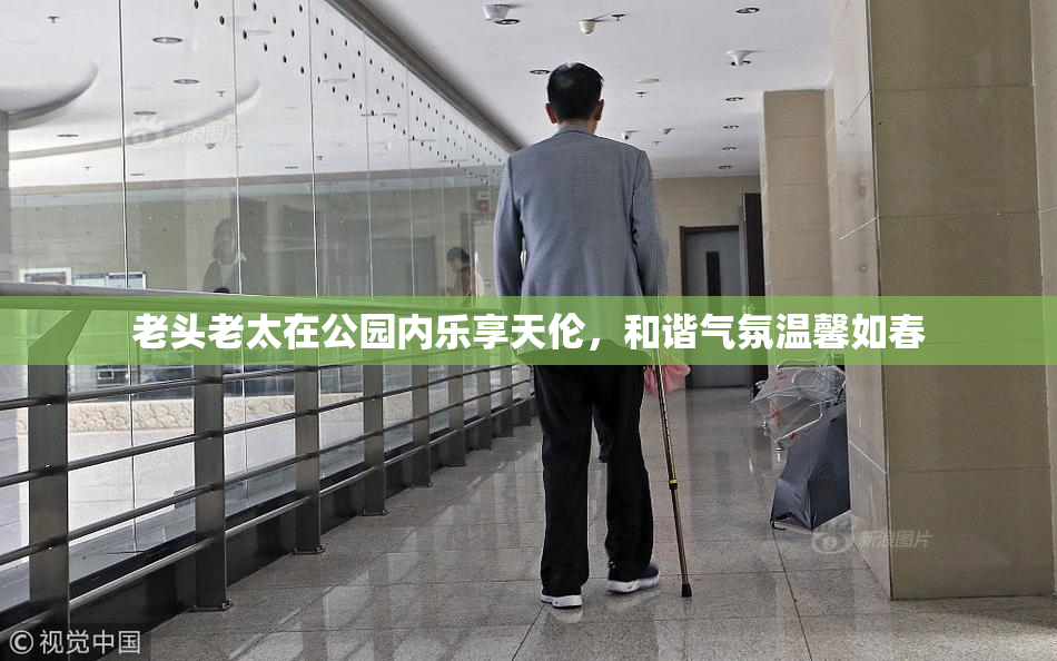 老头老太在公园内乐享天伦，和谐气氛温馨如春