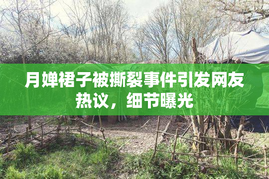 月婵裙子被撕裂事件引发网友热议，细节曝光