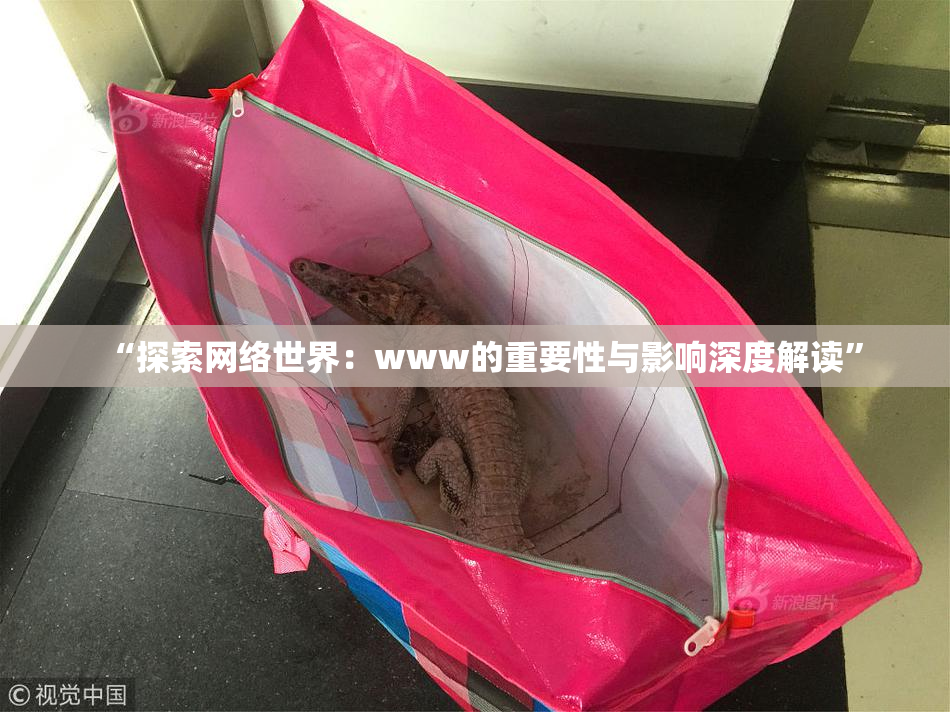 “探索网络世界：www的重要性与影响深度解读”