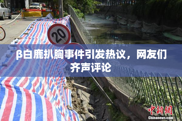 β白鹿扒胸事件引发热议，网友们齐声评论