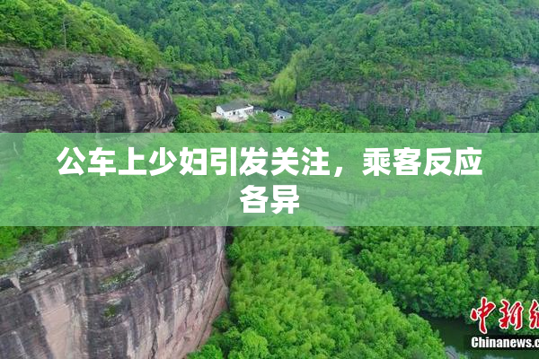 公车上少妇引发关注，乘客反应各异