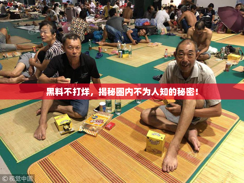 黑料不打烊，揭秘圈内不为人知的秘密！