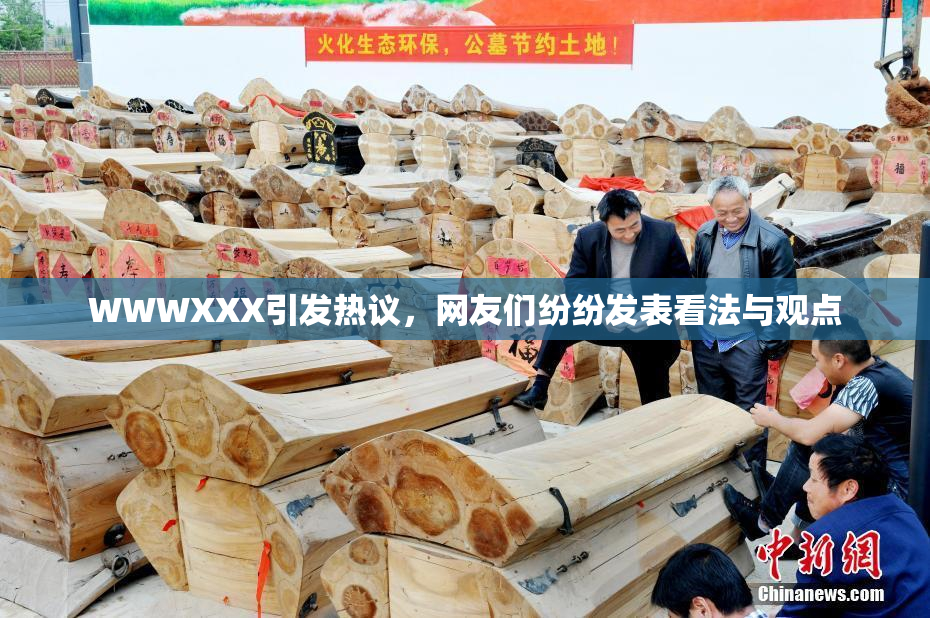 WWWXXX引发热议，网友们纷纷发表看法与观点