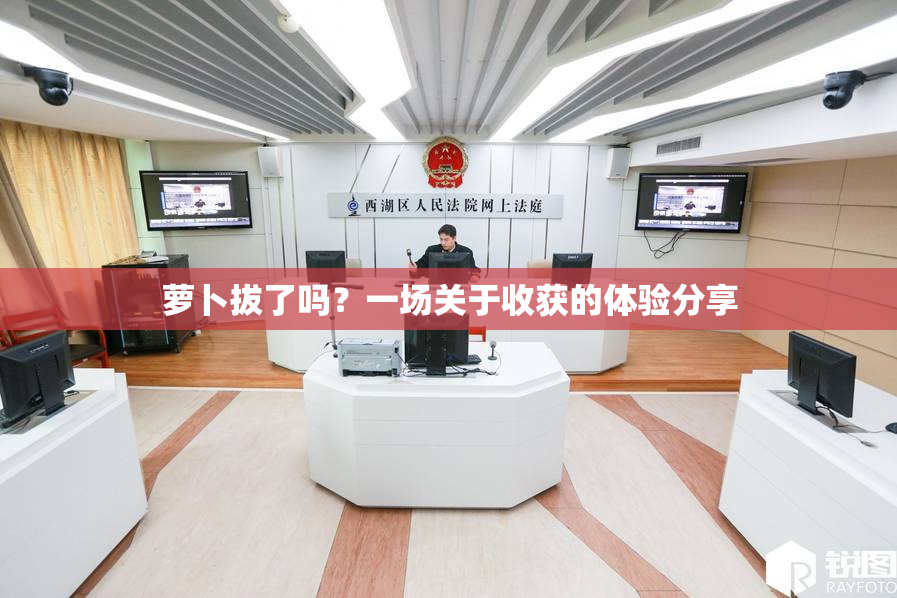 萝卜拔了吗？一场关于收获的体验分享