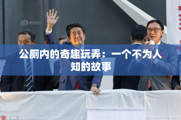 公厕内的奇趣玩弄：一个不为人知的故事