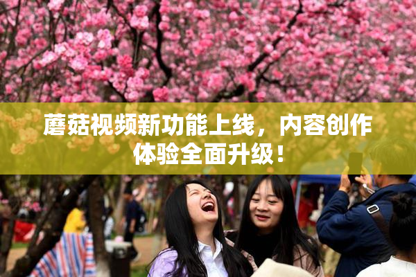 蘑菇视频新功能上线，内容创作体验全面升级！