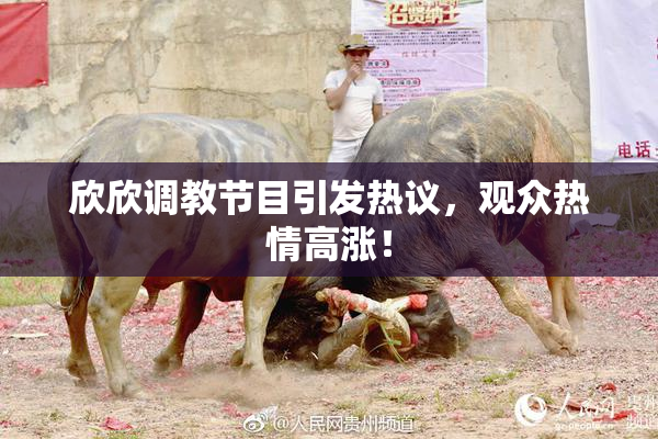 欣欣调教节目引发热议，观众热情高涨！