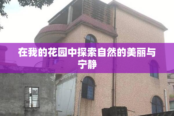 在我的花园中探索自然的美丽与宁静