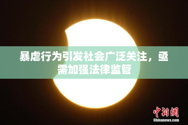 暴虐行为引发社会广泛关注，亟需加强法律监管