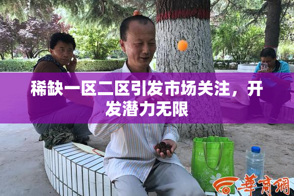 稀缺一区二区引发市场关注，开发潜力无限