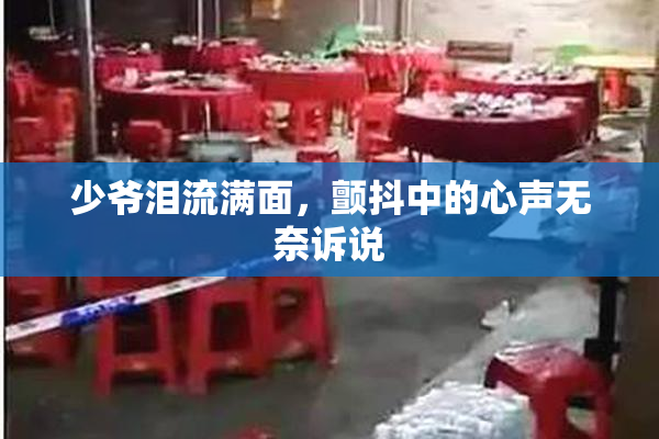 少爷泪流满面，颤抖中的心声无奈诉说