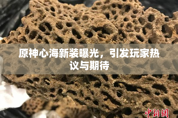 原神心海新装曝光，引发玩家热议与期待