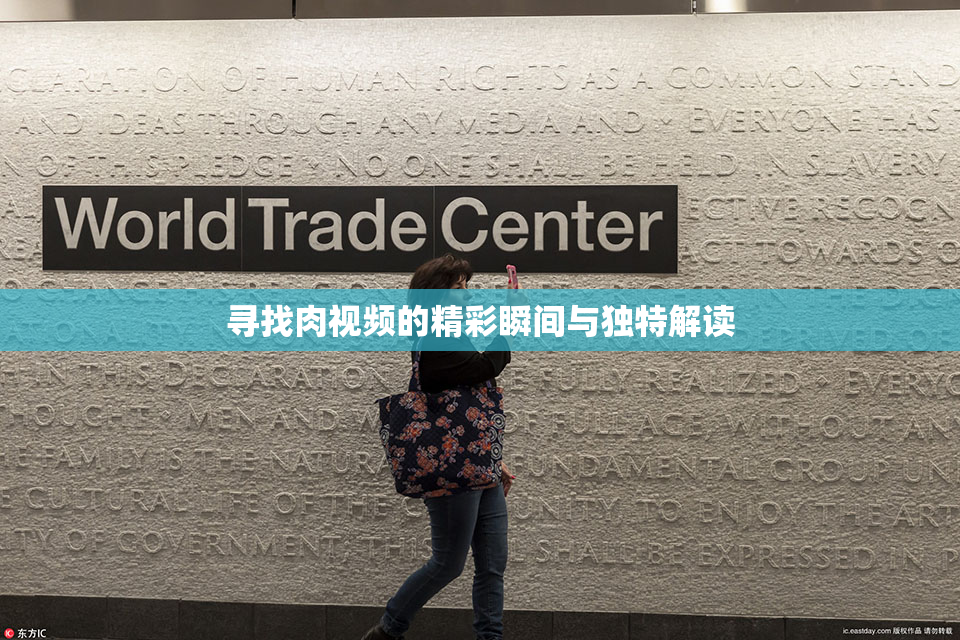 寻找肉视频的精彩瞬间与独特解读