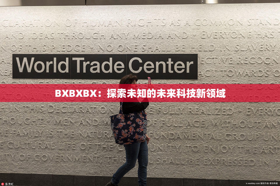 BXBXBX：探索未知的未来科技新领域